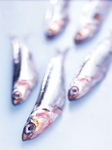avoid farmed fish